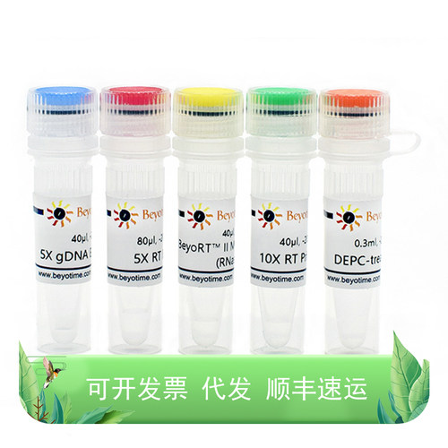 BeyoRT™ II cDNA合成试剂盒(with gDNA Eraser)