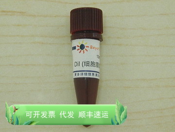DiI(细胞膜红色荧光探针) C1036 碧云天生物 Beyotime