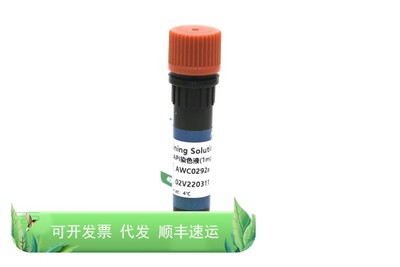 AWC0292a DAPI染色液(1mg/ml) 1ml