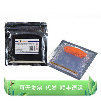 P0057A BeyoGel™ SDS-PAGE预制胶(Tris-Gly, 4-20%, 12孔) 10块