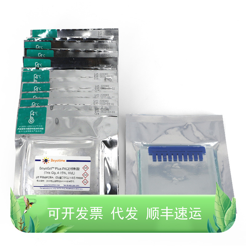 BeyoGel Plus PAGE预制胶Tris-Gly4-15%10孔碧云天