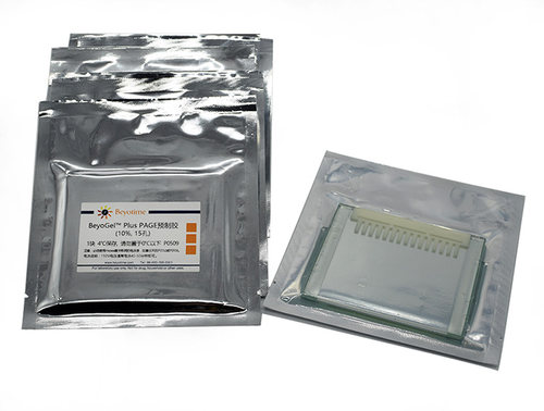 BeyoGel™ Plus PAGE预制胶(Hepes, 10%, 15孔) P0509 碧云天