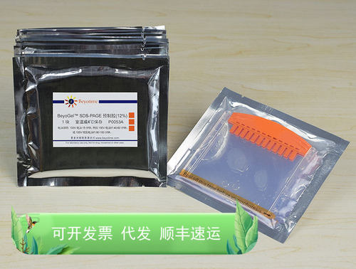 BeyoGel™ SDS-PAGE预制胶(Tris-Gly, 12%, 12孔) 碧云天生物