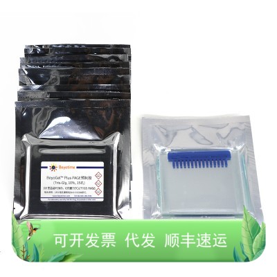 BeyoGel™ Plus PAGE预制胶(Tris-Gly, 10%, 15孔)