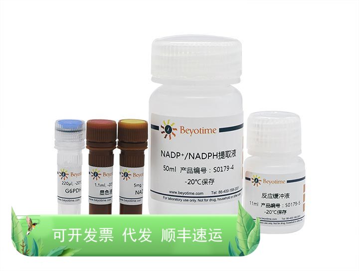 NADP+/NADPH检测试剂盒(WST-8法) S0179 碧云天生物 Beyotime
