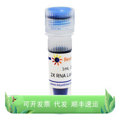 2X RNA Loading Buffer