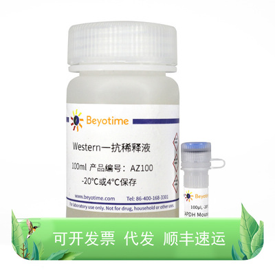 AF0006-100μl，GAPDH Mouse Monoclonal Antibody,碧云天