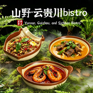 山野风云贵川bistro粗陶炒菜盘商用融合菜漂亮饭特色异形网红餐盘
