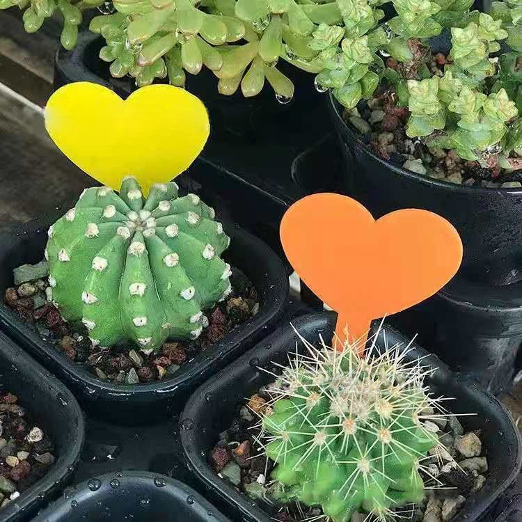 园艺多肉标签牌兰花花卉盆栽园艺插地牌植物标签防水加厚插牌工具