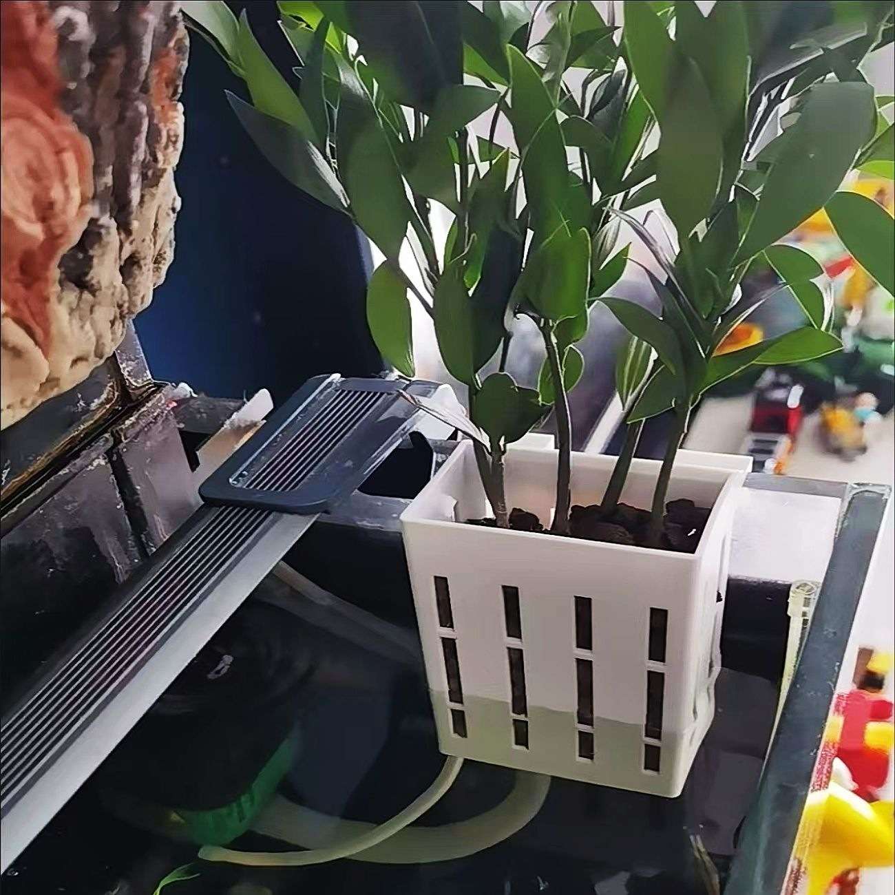 鱼缸固定水草水培种植固定器壁挂式植物定植造景装饰绿萝小型鱼缸