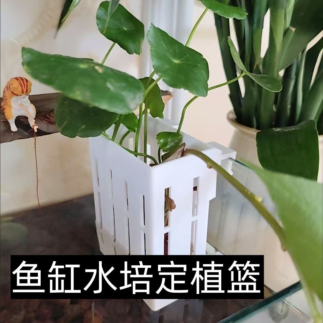 鱼缸固定水草水培种植固定器壁挂式植物定植造景装饰绿萝