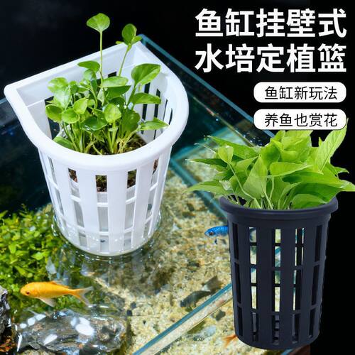 鱼缸水培植物篮家用水草种植杯壁挂式挺水植物定植篮鱼缸造景装饰