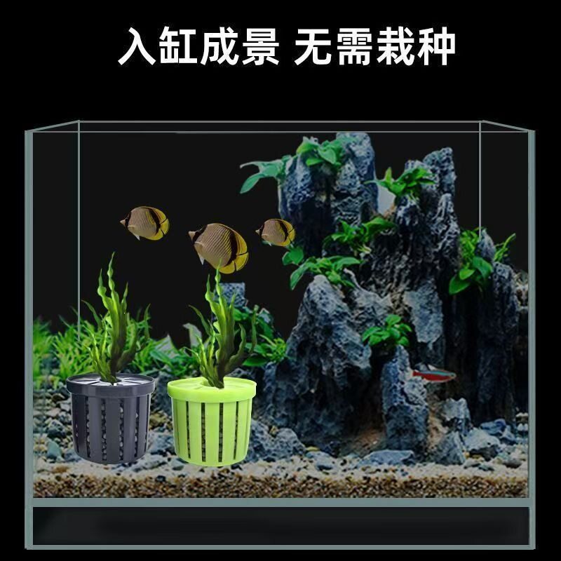鱼缸水培植物篮家用水草种植水草泥沉底固定器种植造景装饰定植篮
