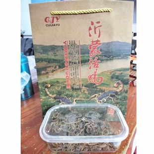 【蝎子送礼】蝎子活体沂蒙山活蝎子十足全蝎仿毒蝎子东亚钳蝎包邮