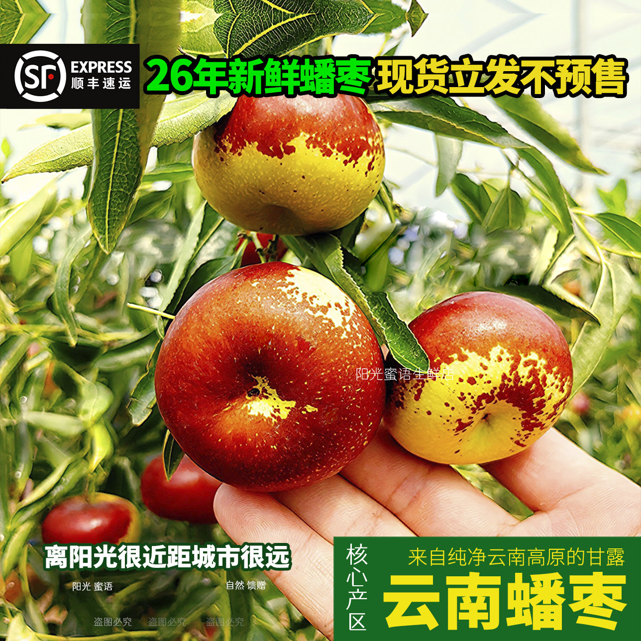 【顺丰】云南新鲜片红冬枣蟠枣牛奶枣脆甜孕妇水果礼盒非大荔长武