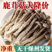 足斤净重 新鲜农家鹿茸菇干货古田煲汤菌菇商用鹿茸菇袋装