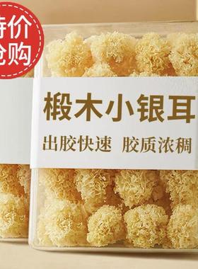 椴木小银耳干货特级无熏硫白木耳软糯易出胶古田农家特产胶质浓稠
