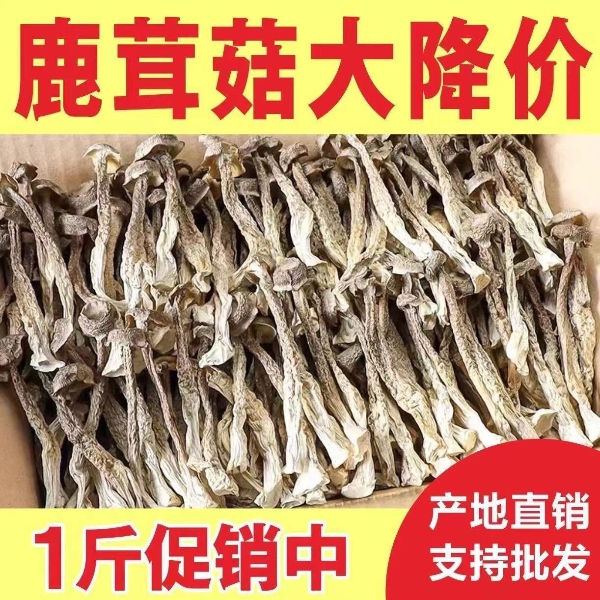 【足斤净重】新鲜农家鹿茸菇干货古田煲汤菌菇商用鹿茸菇袋装