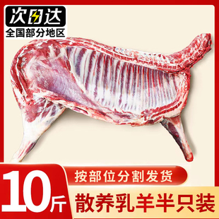 新鲜半只羊冷冻内蒙古羔羊肉10斤羊排羊蝎子整只羊腿全羊烧烤食材