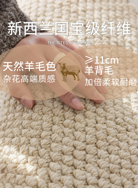 进口羊毛地毯奶油意式轻奢高级感客厅卧室2026新款绝美琥珀地毯