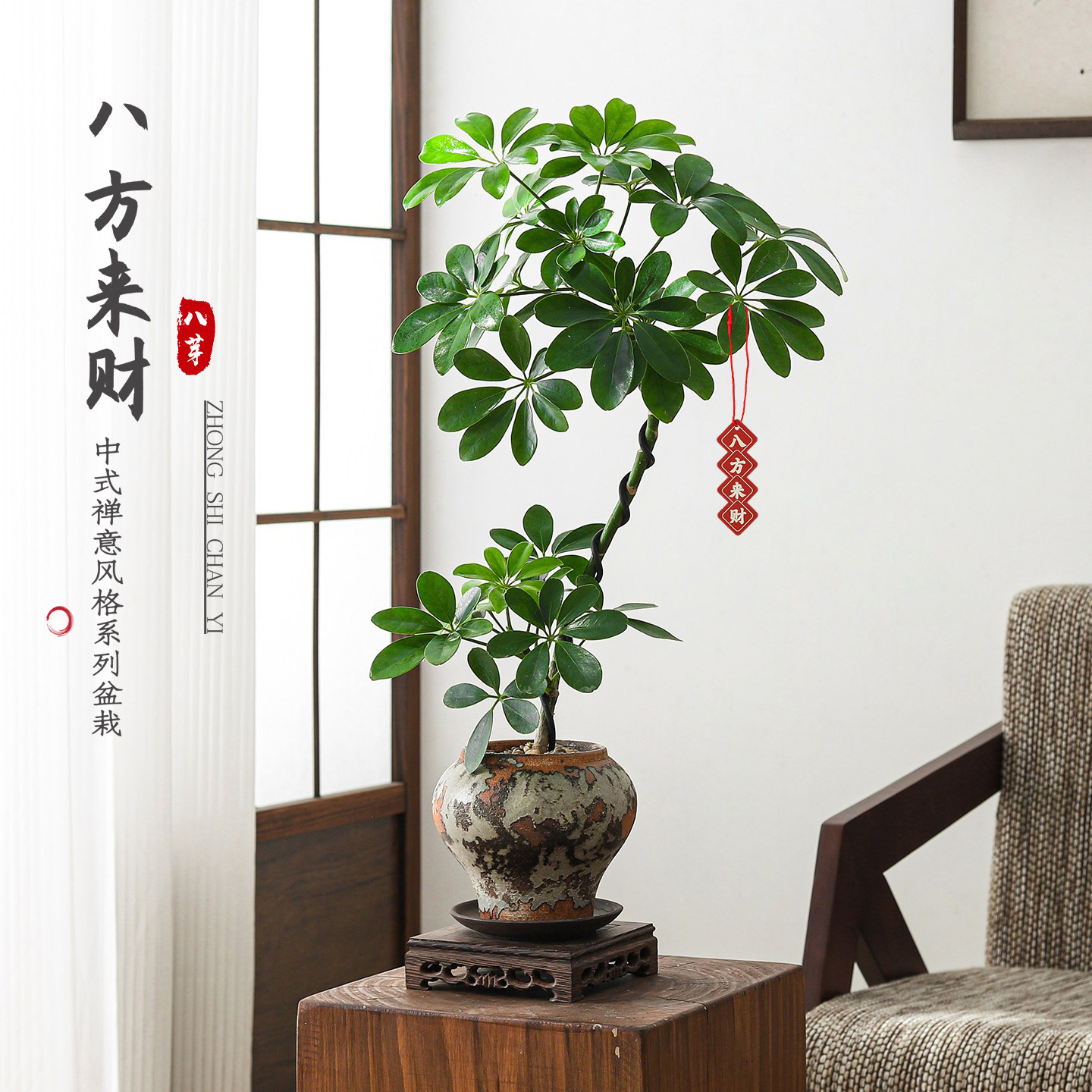 老桩造型鸭脚木客厅大盆栽八方来财鸭掌木室内玄关四季好养活绿植 - 实物图