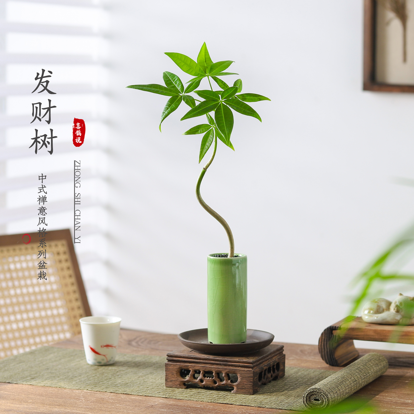 发财树客厅好养活招财绿植盆栽