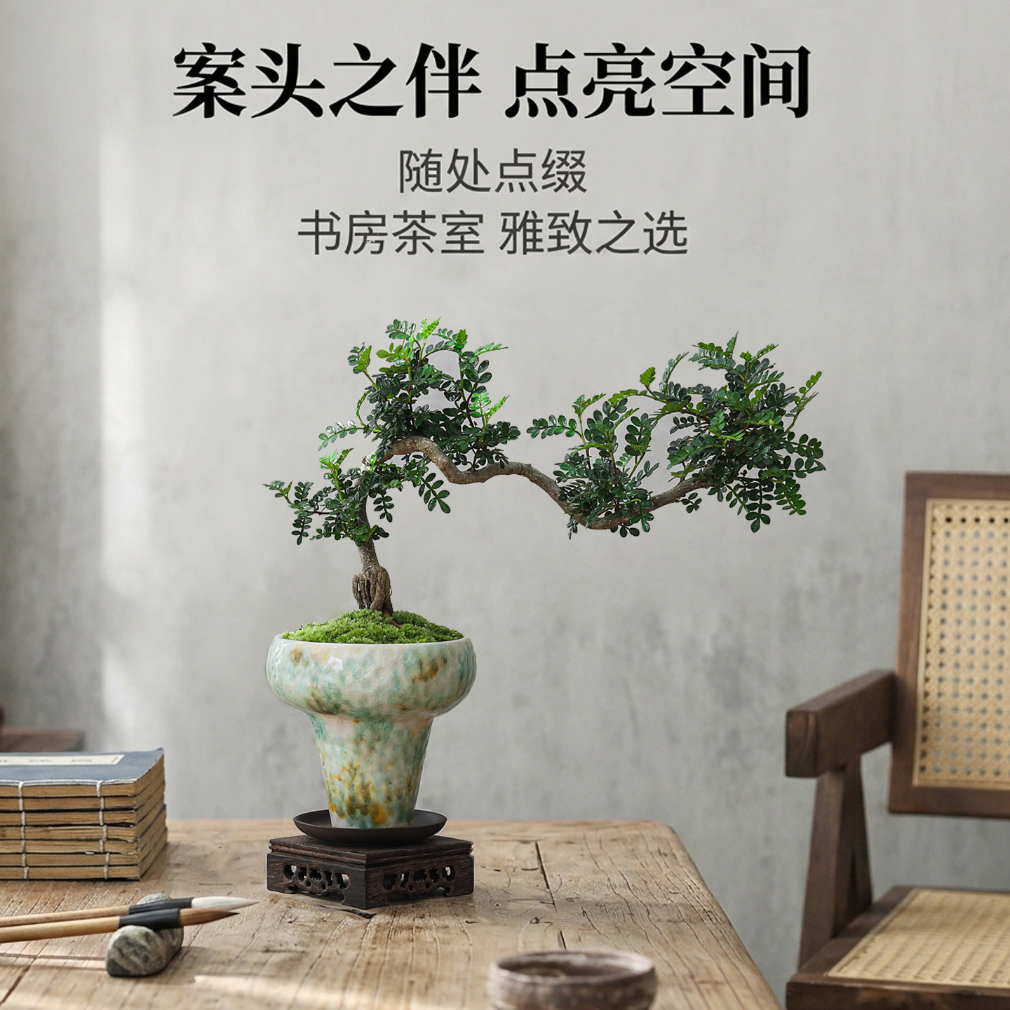 净化空气驱蚊虫效果佳！