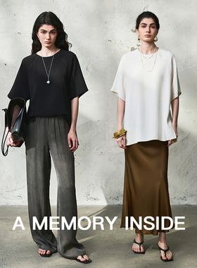 A Memory Inside日本进口三醋酸短袖t恤女2025新款休闲宽松上衣