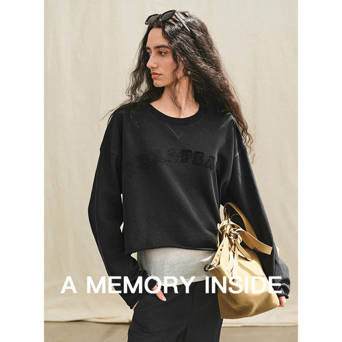 100长绒棉刺绣长袖t恤女休闲百搭