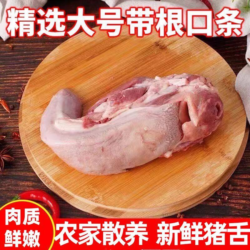 【新店开业特价冲量】新鲜猪口条猪舌头批发食材卤菜饭店整箱