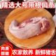 冲量 新店开业特价 新鲜猪口条猪舌头批发食材卤菜饭店整箱