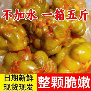 【5斤真空】榨菜头整颗完形泡青菜头麻辣香辣清脆下饭疙瘩菜