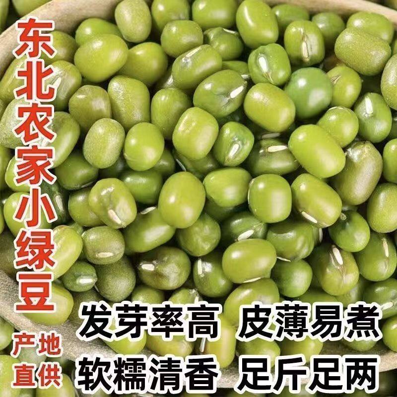 【净重发货】绿豆绿豆糕绿豆饼五谷养生新货好煮易出沙煮粥绿豆汤