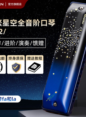 FEIFAN飞繁十二孔布鲁斯口琴初学者成人带低音FALA蓝调专业演奏级