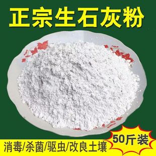 生石灰种菜石灰粉杀菌消毒剂杀虫驱虫剂干燥剂鸡舍羊舍消毒专用