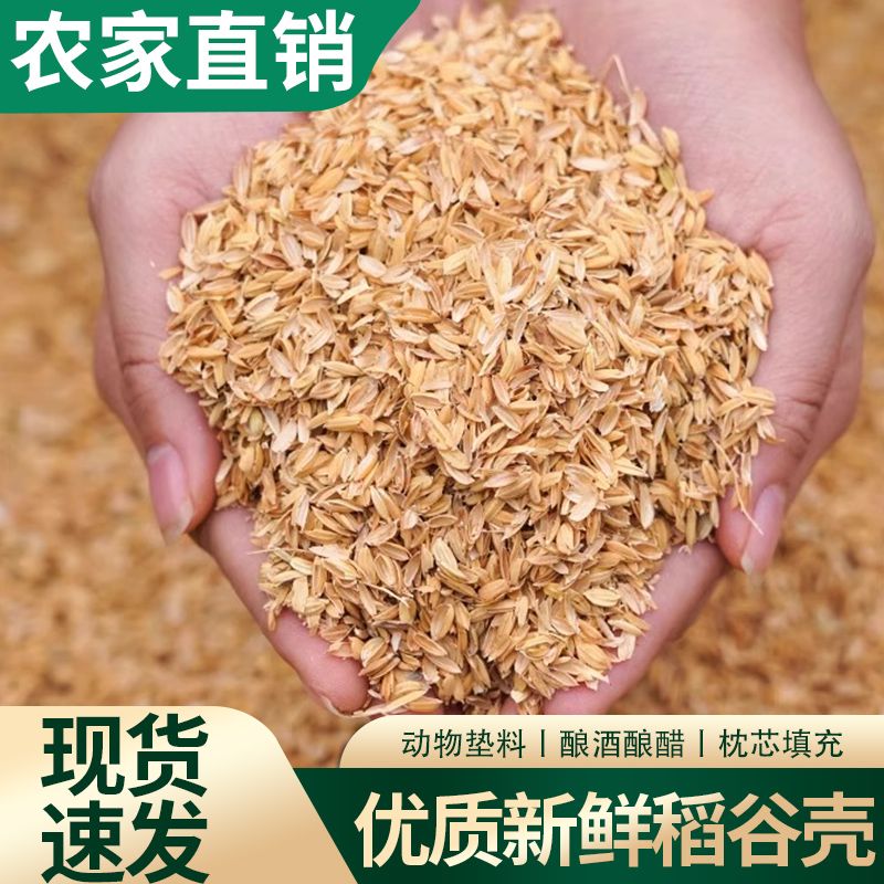 稻壳垫料新鲜谷壳粗糠米糠喂鸡宠物芦丁鸡垫料枕头芯填充酿酒饲料