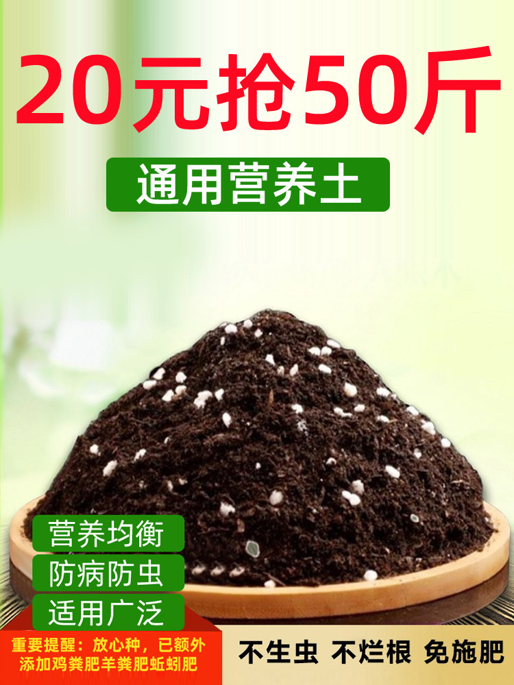 营养土腐殖土腐叶土种