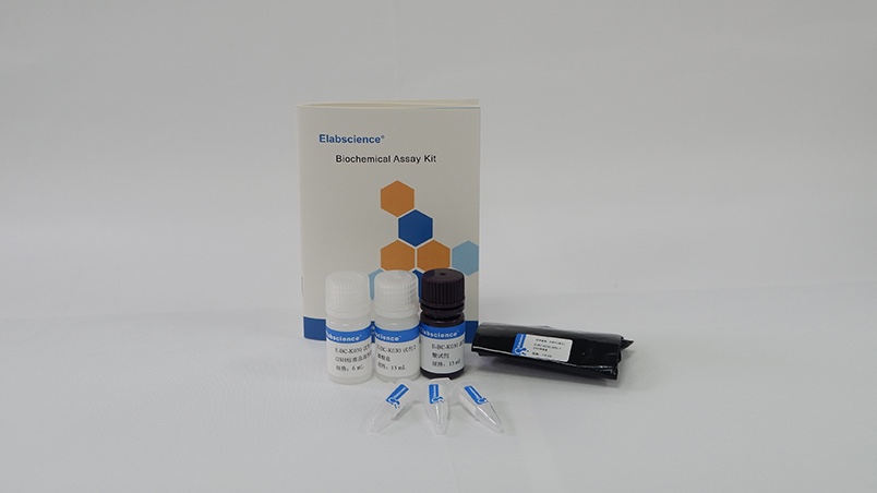 Elabscience®还原型谷胱甘肽(GSH)比色法测试盒E-BC-K030-M，96T