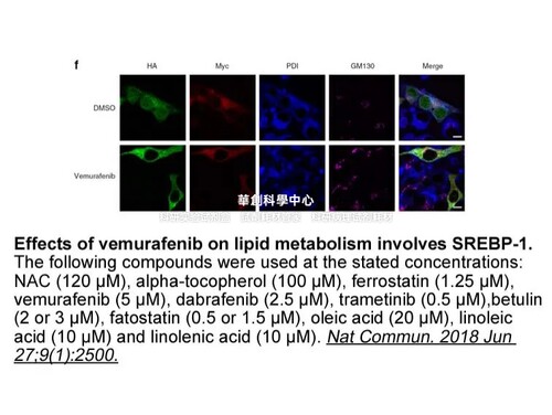 APExBIO维罗非尼,BRAF激酶抑制剂,Vemurafenib (PLX4032, RG7204)