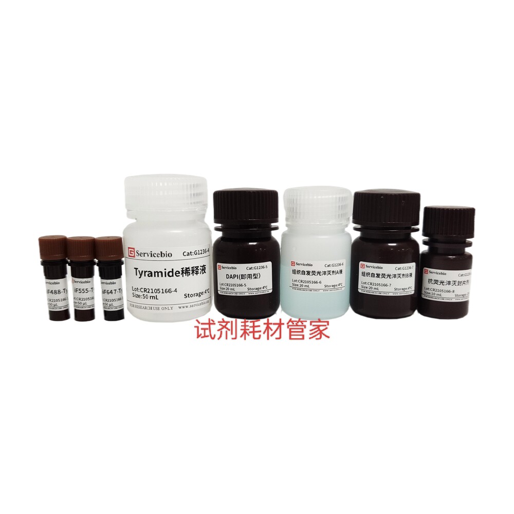 TSA PLus荧光三标四色染色试剂盒 适用石蜡切片免疫荧光多重染色