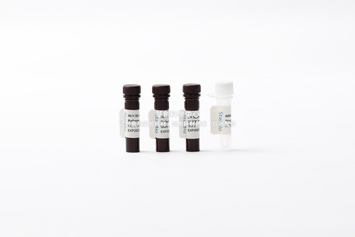 Starvioᴬᵇ染料法荧光定量PCR试剂盒(抗体修饰) 抗干扰/高特异性