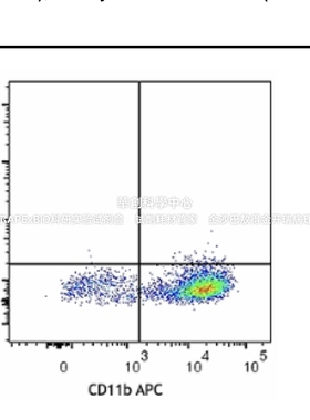 BioLegend,PE-抗Nos2抗体,PE anti-Nos2(iNOS)Ab,696805/696806