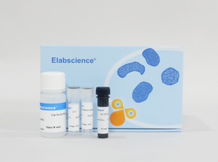 Elabscience® Caspase 8活性检测试剂盒(分光光度法)，E-CK-A312