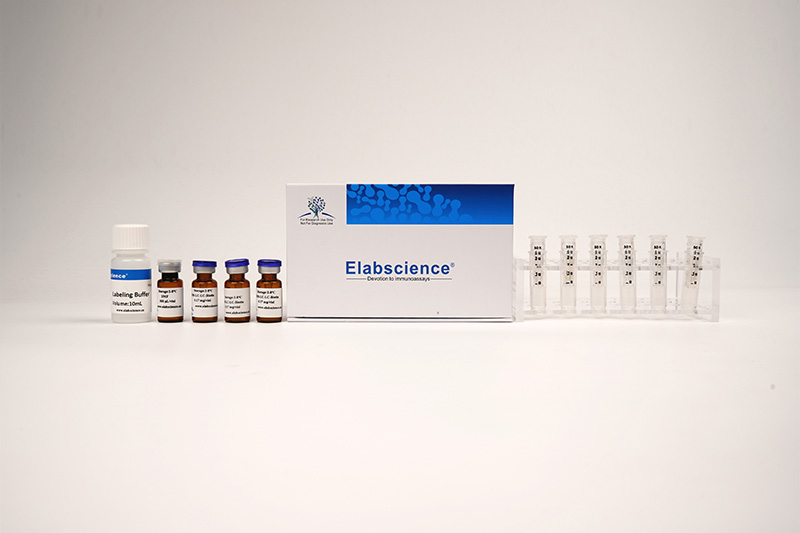 Elabscience  Cyanine3标记试剂盒，适用于100KD以上蛋白的标记