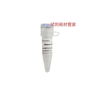 转录 RNA酶抑制剂 蛋白合成 用于cDNA合成 Inhibitor 人源 RNase