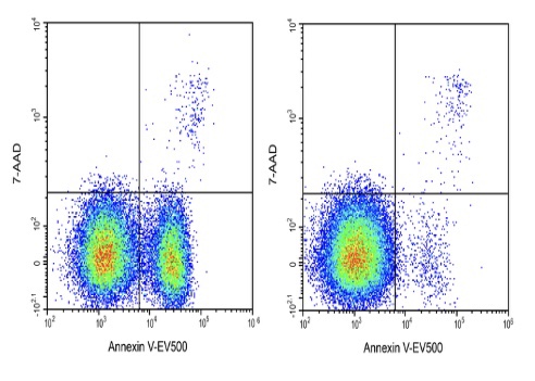 Elabscience Annexin V-EV500/7-AAD细胞凋亡检测试剂盒E-CK-A236