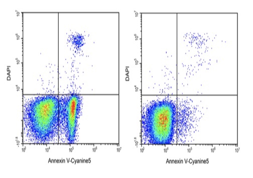 Elabscience Annexin V-Cyanine5/DAPI细胞凋亡检测试剂E-CK-A262