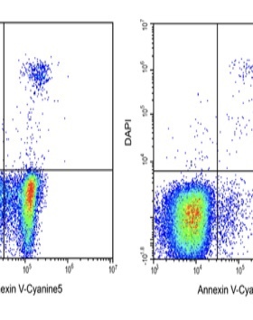 Elabscience Annexin V-Cyanine5/DAPI细胞凋亡检测试剂E-CK-A262