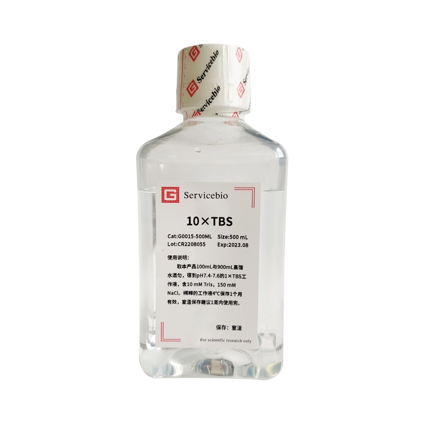 Servicebio TBS缓冲液 Tris缓冲盐溶液500mL 10×TBS  pH7.2-7.6