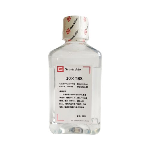 Servicebio TBS缓冲液 Tris缓冲盐溶液500mL 10×TBS  pH7.2-7.6